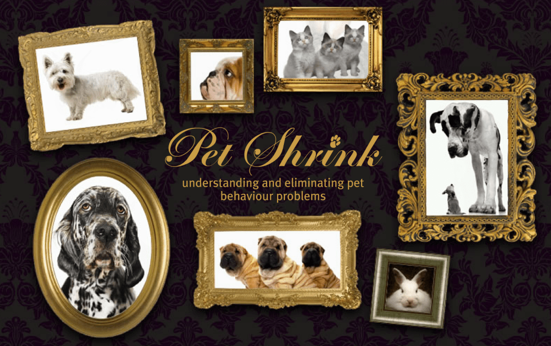 PetShrink Homepage